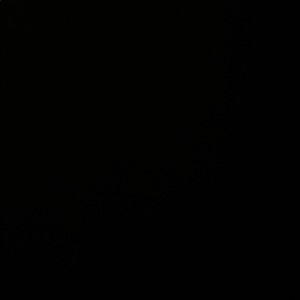 Meet your Posher, Lucia